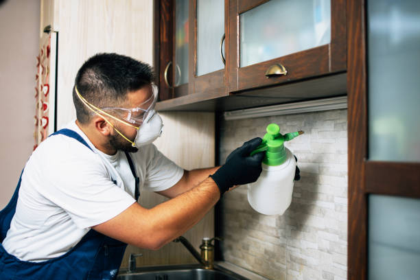 Best Residential Pest Control  in Anadarko, OK