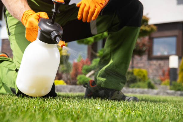 Best Wasp Removal Services  in Anadarko, OK