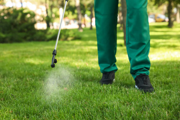 Best Pest Inspection Near Me  in Anadarko, OK