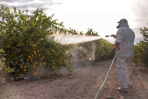 Best Wildlife Control Services  in Anadarko, OK