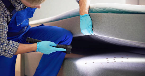 Best Pest Control for Businesses  in Anadarko, OK