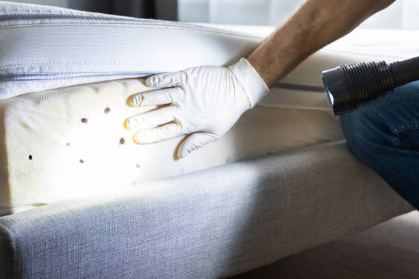 Best Emergency Pest Control  in Anadarko, OK