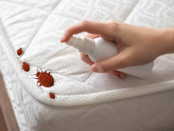 Best Mosquito Control Services  in Anadarko, OK