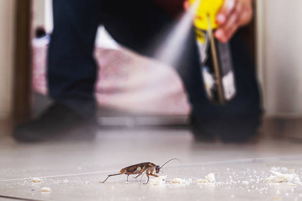 Best Wildlife Control Services  in Anadarko, OK