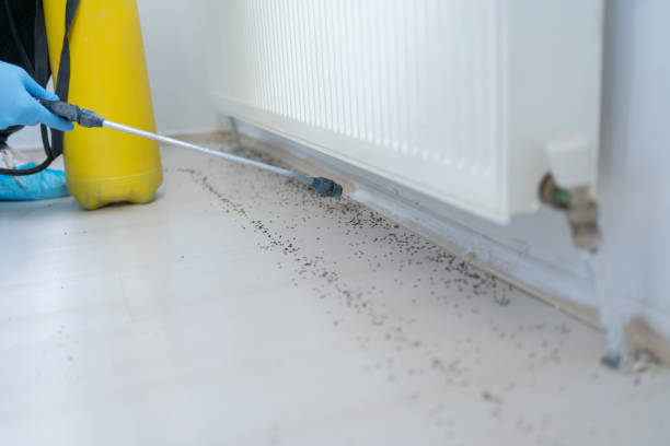 Best Affordable Pest Control Services  in Anadarko, OK