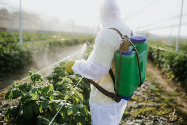Best Bed Bug Extermination  in Anadarko, OK